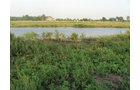 Property photo 2 - 114+/- Acres Offered in 4 Tracts